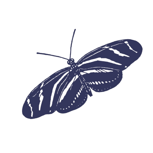 Lepidoptera icon